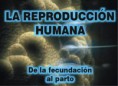 /album/fotogaleria/reproduccionhumana-jpg/